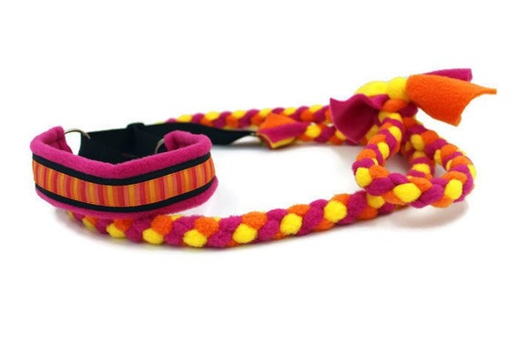 Dog Agility Slip Leash Customizable Embroidered Barn Hunt Etsy