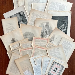 May include: A collection of vintage Shakespearean play scripts, including Othello, The Winter's Tale, Merry Wives of Windsor, and Hamlet. The scripts are printed on aged paper with black ink and have illustrations.