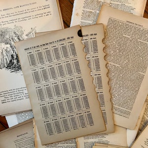 Antique Book Pages: 1800s Ephemera for Junk Journals