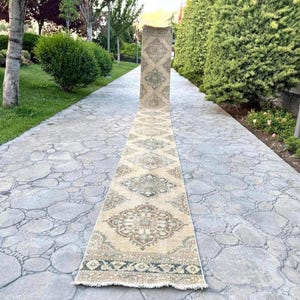 Puede incluir: Una alfombra larga y rectangular de color beige con un intrincado patrón geométrico. La alfombra presenta un diseño central de diamantes con motivos florales en tonos verdes y marrones. La alfombra se exhibe al aire libre sobre una pasarela de piedra.