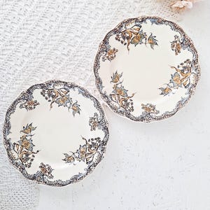 Könnte beinhalten: Zwei runde Keramikteller mit gewelltem Rand, die eine cremeweiße Grundfarbe und ein dekoratives Randmuster aus blauen und goldenen Blumenmotiven aufweisen. Die Teller haben eine glatte Oberfläche und sind nebeneinander angeordnet.