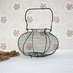 May include: A dark metal wire basket with a rounded shape and a handle. The basket has a cage-like structure, suggesting it's for storage or display. The background shows floral wallpaper. The basket's design evokes a vintage aesthetic.
