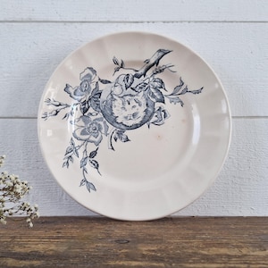 Antique French Ironstone Cat Plate, Blue Transferware “Minets” by Longchamp, Terre de Fer