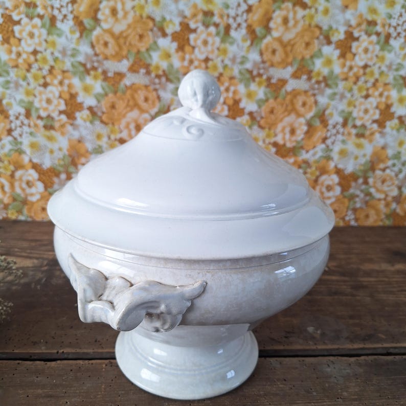 May include: A white ceramic tureen with a lid, featuring a decorative finial and side handles. The tureen has a pedestal base and a two-tone color scheme, with a light beige lower section and a white upper section. The background is a floral pattern.