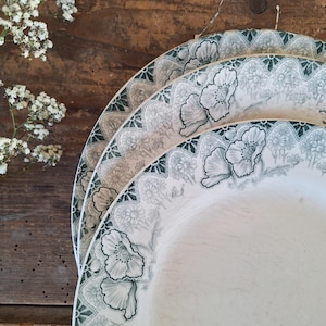 Set di 3 piatti Art Nouveau francesi colorati Ironstone Green Transferware Choisy le Roi Terre de Fer Coquelicots, Transferware French Antiques