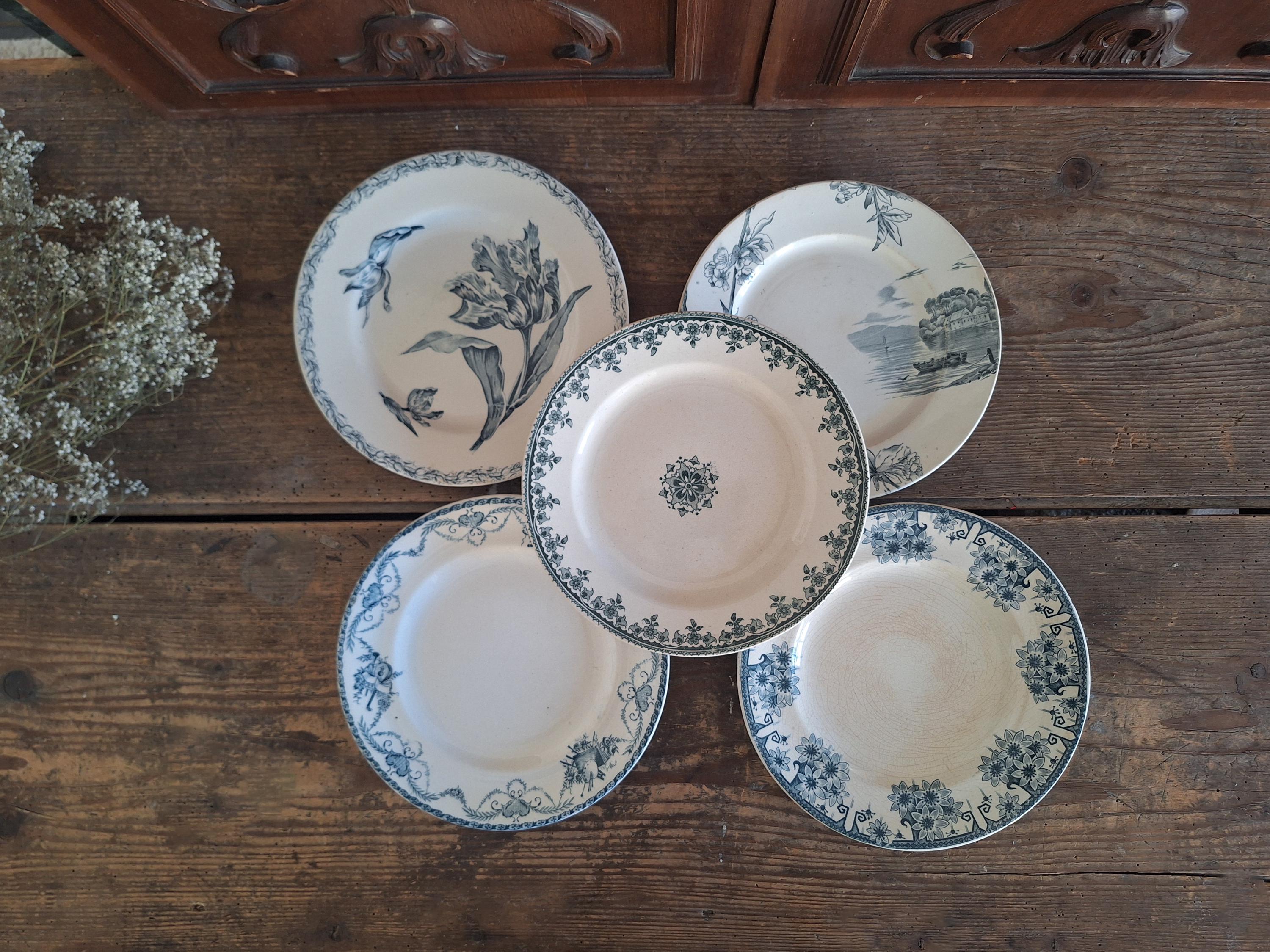 フランス トランスファーウェア プレート 5 枚、アンティーク ブエ