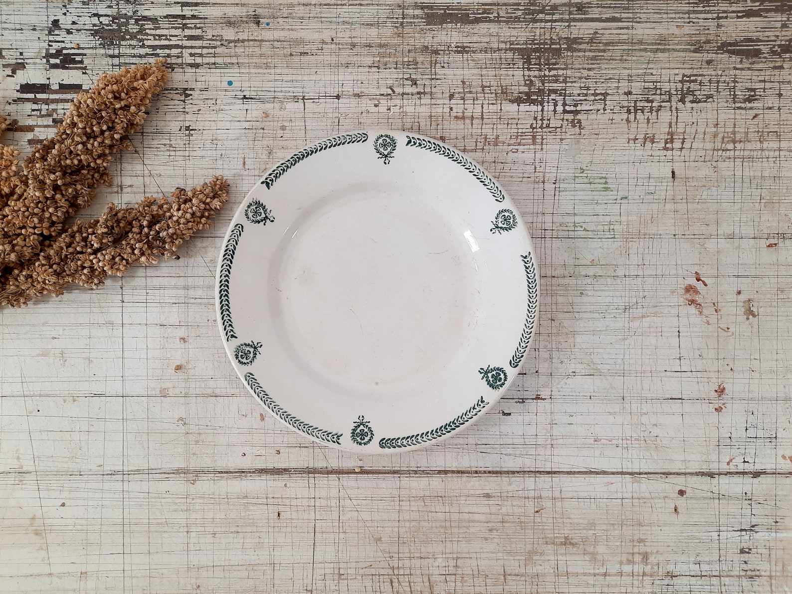 French Dinner Plate Ironstone Green Transferware Castres Terre Etsy