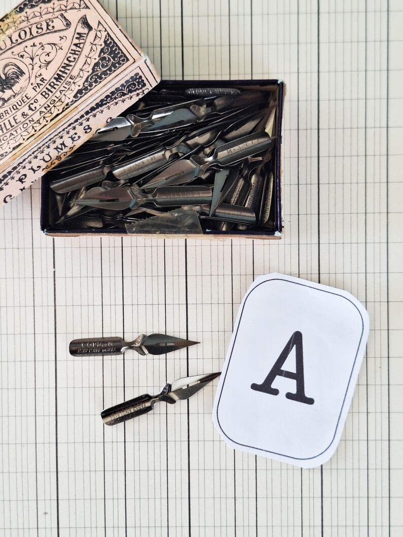 K&ouml;nnte beinhalten: Eine rechteckige Pappschachtel mit der Aufschrift "LOISE" und "PLUMES", die zahlreiche metallisch silberne Kalligrafiefedern enth&auml;lt. Zwei weitere Metallfedern liegen neben einer wei&szlig;en Karte mit dem schwarzen Buchstaben "A".
