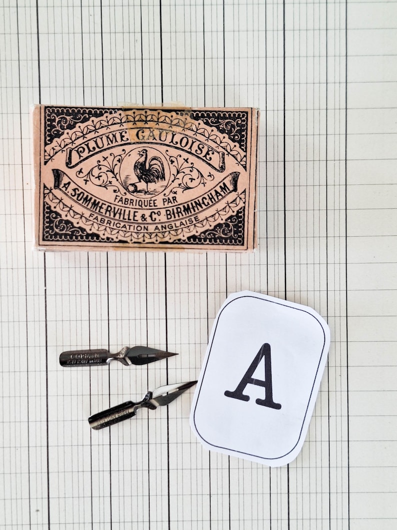 K&ouml;nnte beinhalten: Eine rechteckige Pappschachtel mit der Aufschrift Plume Gauloise A. Sommerville & Co Birmingham und einer Hahn-Illustration, zwei Metall-Kalligrafiefedern und eine wei&szlig;e rechteckige Karte mit dem schwarzen Buchstaben A.