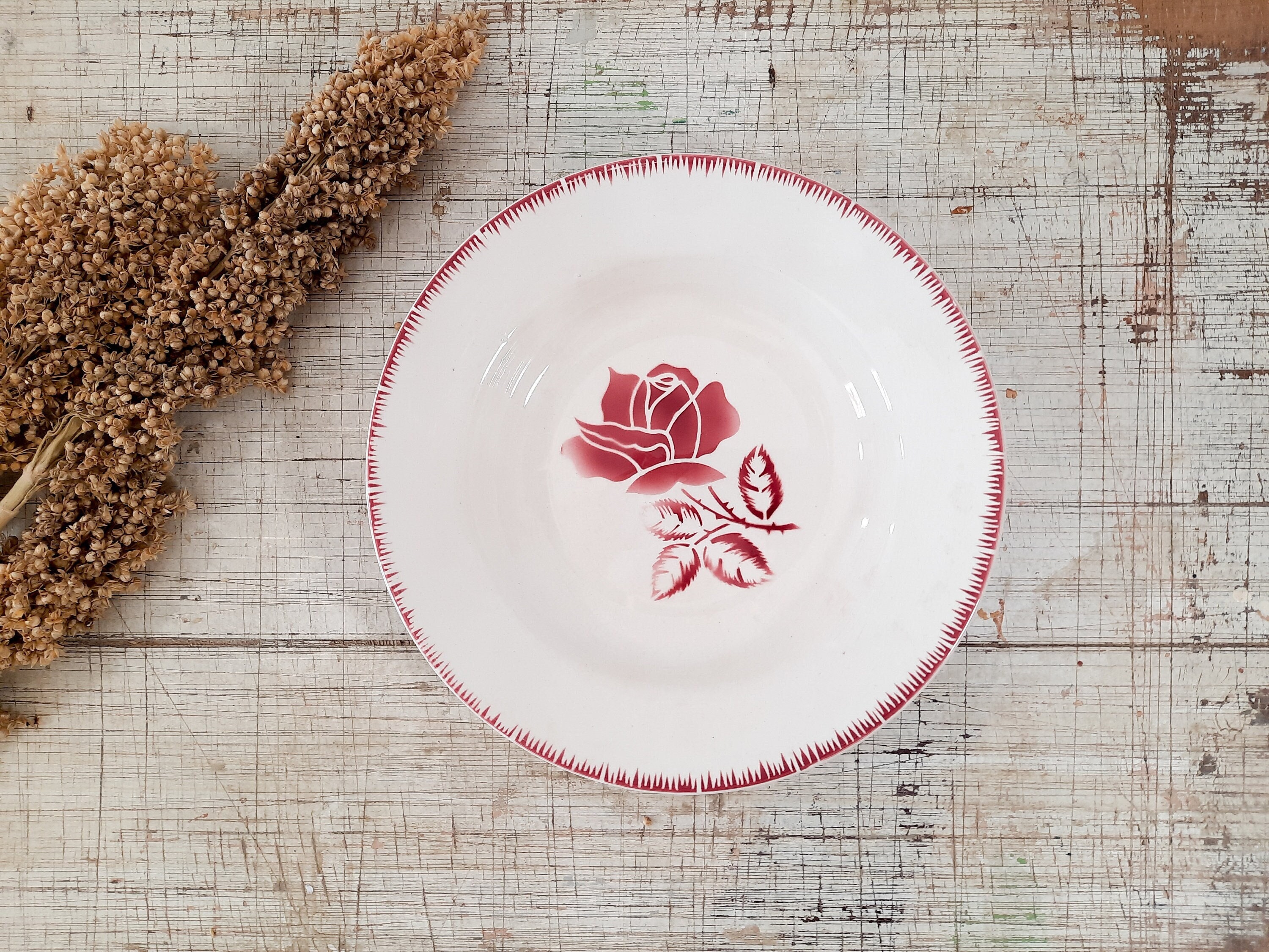 Assiette Antique en Pierre de Fer Digoin Sarreguemines Rolande, Français Vaisselle Florale Rouge Cam