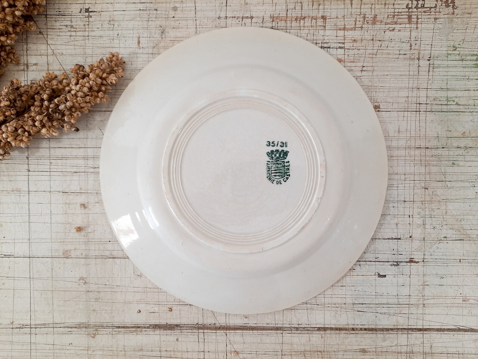 French Dinner Plate Ironstone Green Transferware Castres Terre Etsy