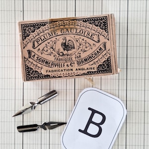K&ouml;nnte beinhalten: Eine rechteckige Pappschachtel mit der Aufschrift Plume Gauloise A. Sommerville & Co Birmingham Fabrication Anglaise mit einer Hahn-Illustration, zwei metallischen Kalligrafiefedern und einer wei&szlig;en rechteckigen Karte mit dem schwarzen Buchstaben B.
