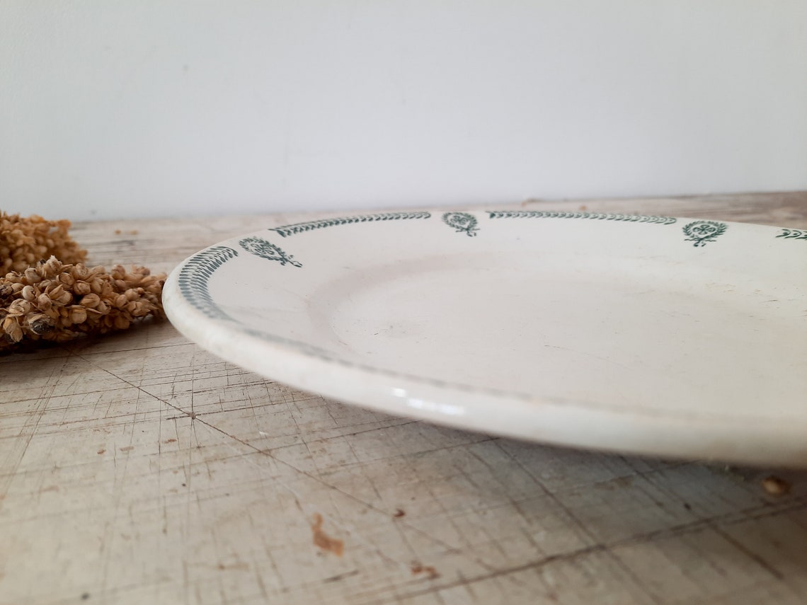 French Dinner Plate Ironstone Green Transferware Castres Terre Etsy