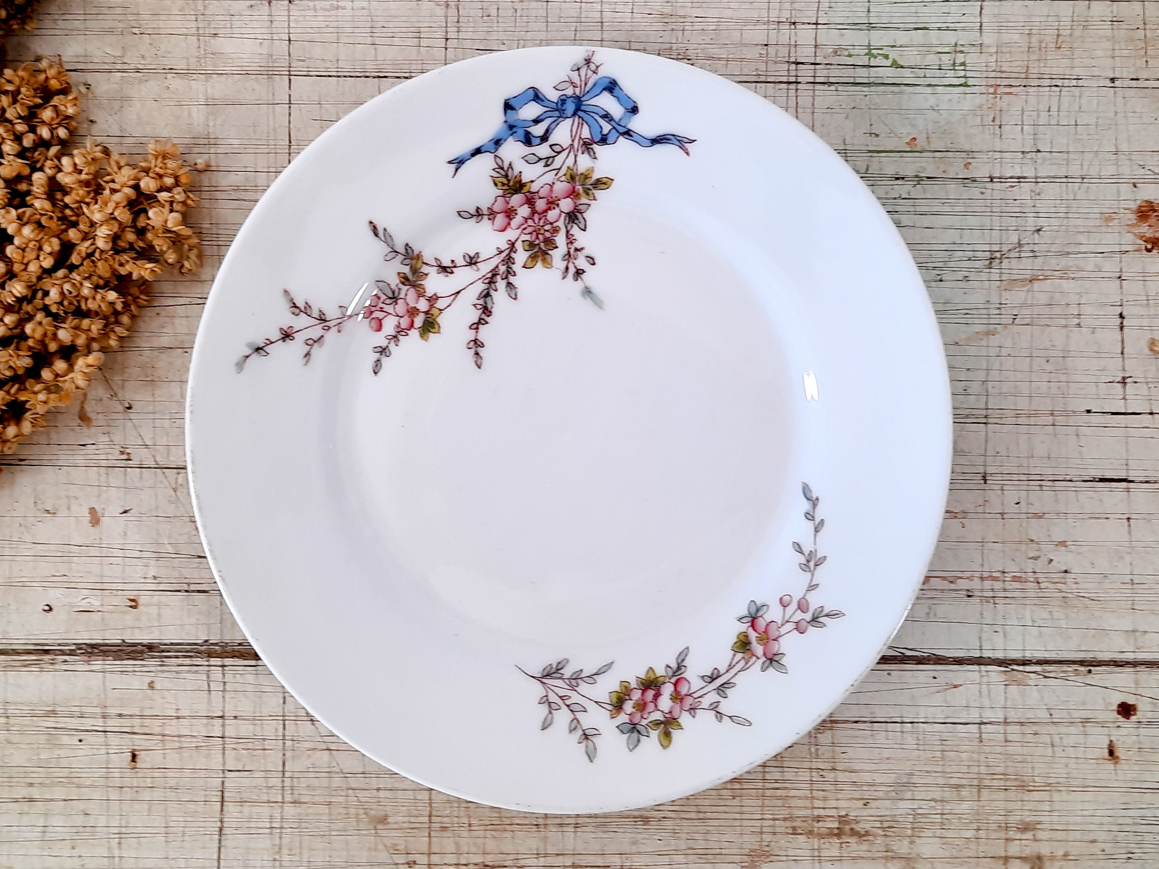 Plaque Polychrome Ironstone Transferware Plate France Limoge Plate, Bow Flowers Garden Art, Art Nouv