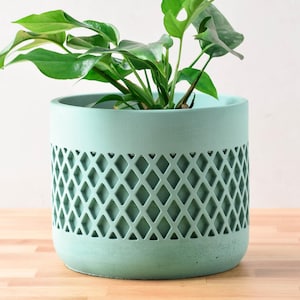 May include: A light green, cylindrical planter with a diamond-patterned design around the middle. The planter holds a green plant with large, vibrant leaves. The planter sits on a wooden surface.