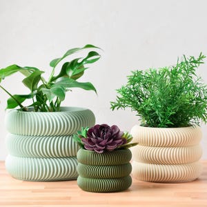 May include: Three decorative plant pots in varying sizes and colors. The largest is a light green, the medium is olive green, and the smallest is beige. Each pot has a unique, layered design. The pots contain green plants and a purple succulent.
