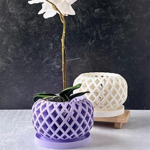 May include: A white orchid with a long stem and green leaves is planted in a purple lattice-patterned pot. A second cream-colored pot with a similar design sits on a wooden stand. The background is a dark, textured surface.