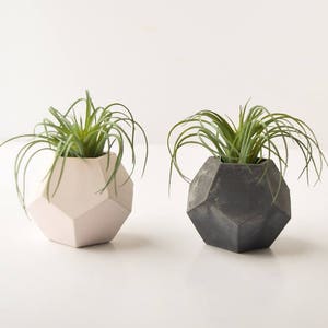 Air Plant Holder Succulent Planter Concrete Planter Air Plants Geometric Planter Minimalist Beton Teacher Gift Modern Cement image 5