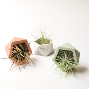 Modern Mini Concrete Planter - Stylish Air Plant Holder - Geometric Candle Display - Home Decor - Minimalist - Wedding Favor - Shower Favor