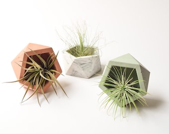 Air Plant Holder - Mini Planter - Concrete - Geometric Candle - Cement - Modern - Minimalist - Wedding Favor - Shower Favor - Decor