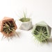 see more listings in the Concrete Planters & Pots section