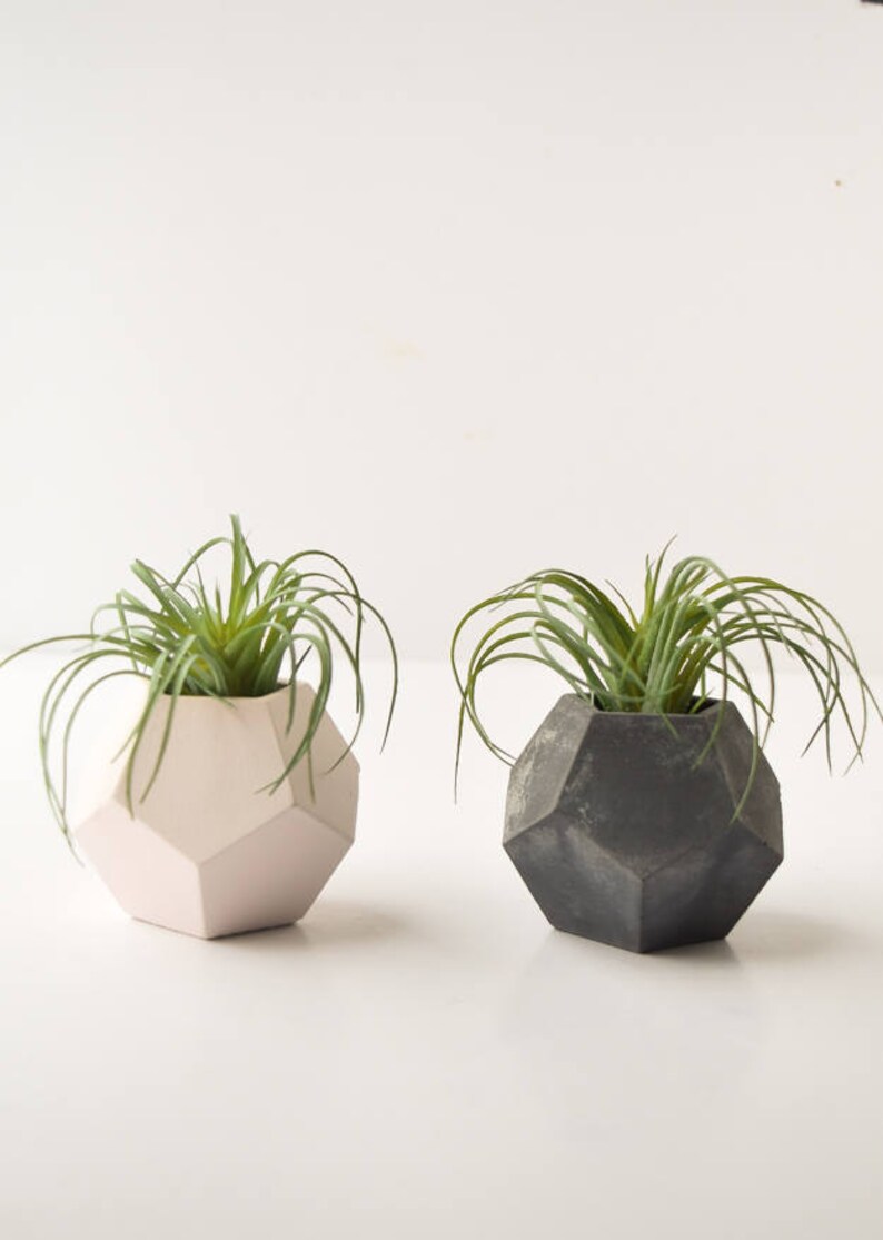 Air Plant Holder Succulent Planter Concrete Planter Air Plants Geometric Planter Minimalist Beton Teacher Gift Modern Cement image 5