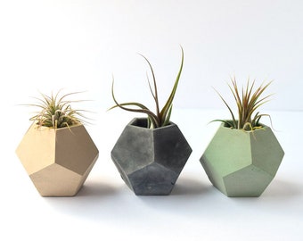 Air Plant Holder - Succulent Planter - Concrete Planter - Air Plants - Geometric Planter - Minimalist - Beton - Teacher Gift - Modern Cement