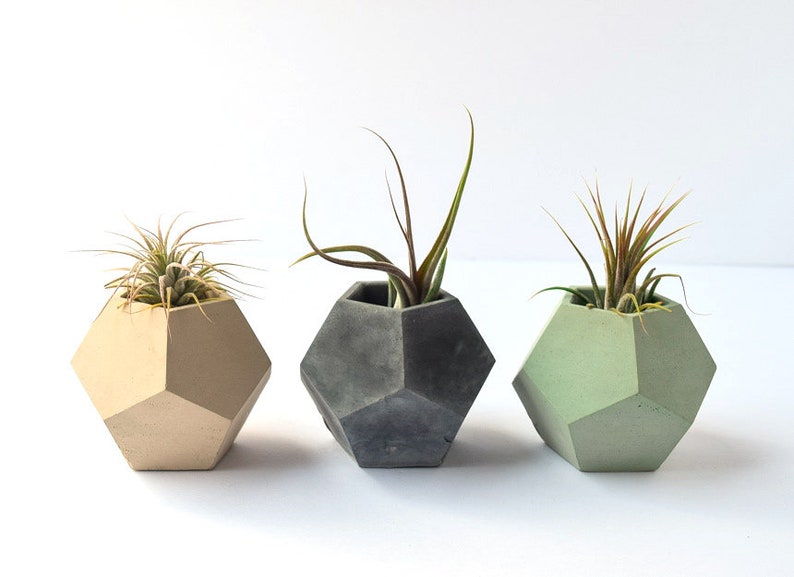 Air Plant Holder Succulent Planter Concrete Planter Air Plants Geometric Planter Minimalist Beton Teacher Gift Modern Cement image 1