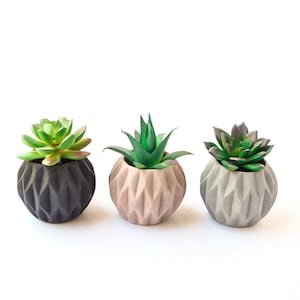 May include: Three small, geometric concrete planters with different colored succulents. The planters are all round and have a textured, diamond-shaped pattern. The succulents are green, brown, and a mix of green and brown.