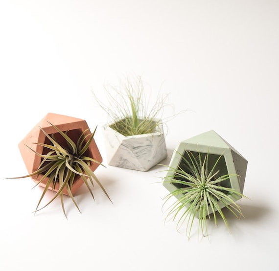 Handmade mini concrete geometric planter with 4K+ favorites — someone actually cast and finished each one, and the brutalist-meets-minimalist look is genuinely striking on a desk or shelf.