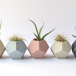 Air Plant Holder Succulent Planter Concrete Planter Air Plants Geometric Planter Minimalist Beton Teacher Gift Modern Cement image 2