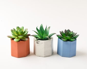 Succulent Pot - Concrete Planter - Small Pot - Modern Decor - Minimalist - Cement - Planter - Air Plant Holder - Wedding/Shower Favor - Gift