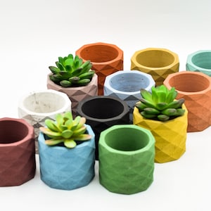 May include: A set of ten small, geometric concrete planters in various colors, including red, orange, yellow, green, blue, and gray. Some planters have small green succulents planted inside.