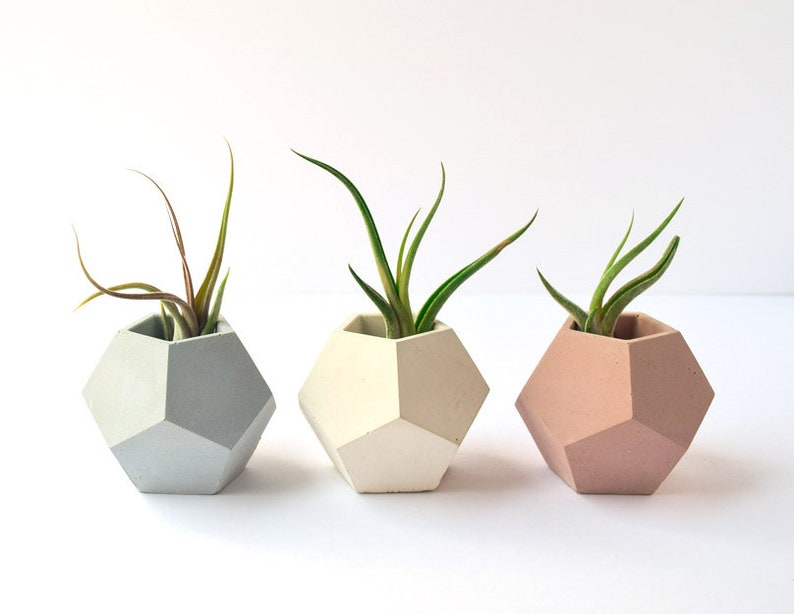 Air Plant Holder Succulent Planter Concrete Planter Air Plants Geometric Planter Minimalist Beton Teacher Gift Modern Cement image 3