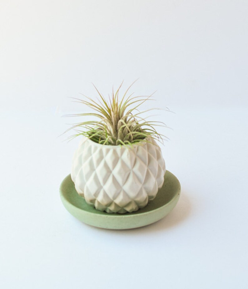 Concrete Jewelry Tray Plant Tray Jewelry Dish Catchall Etsy