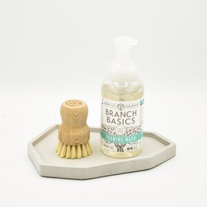 May include: A white ceramic tray with a wooden brush and a clear bottle of Branch Basics Foaming Wash. The bottle has a white label with green text that reads "Branch Basics Foaming Wash".