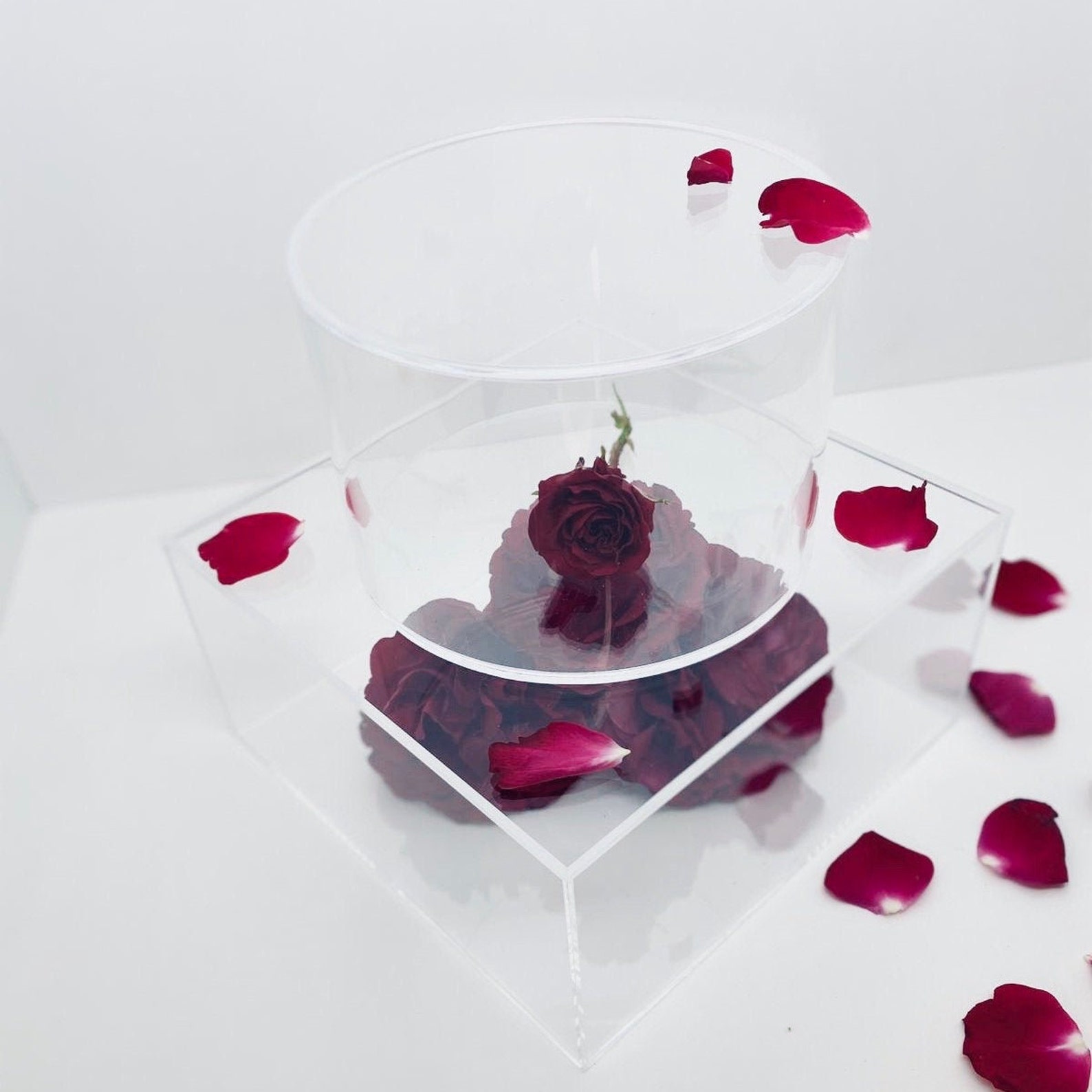 Cake Stand Acrylic Cake Stand Fillable Cake Stand Etsy UK