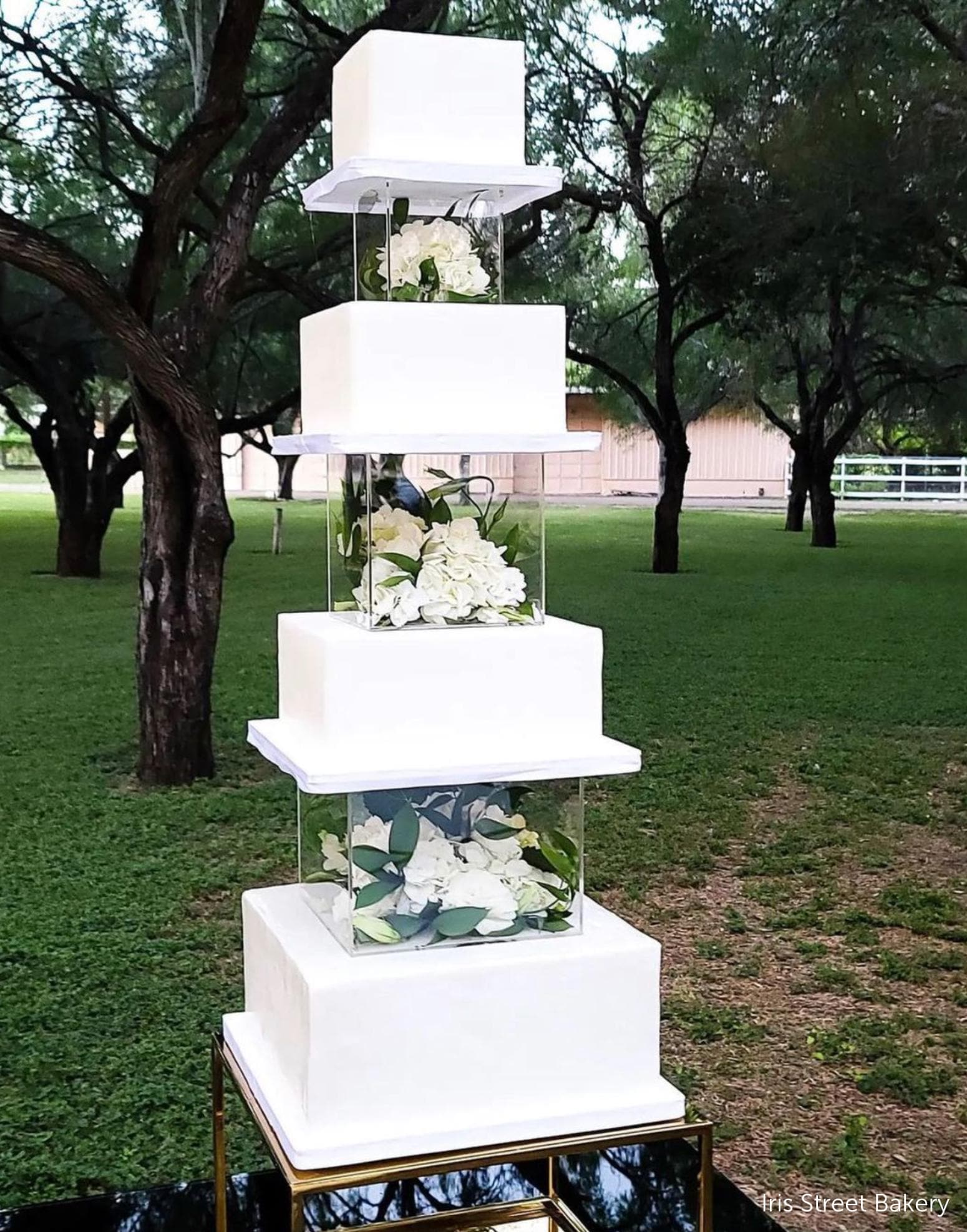 Lot De 2 Présentoirs à Gâteaux Transparents à Remplir - En