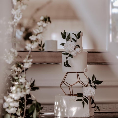 Z BAR Floating Cake Spacer Anti Gravity Cake Stand Hidden Etsy