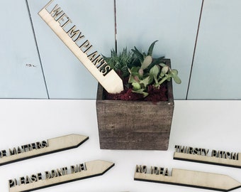 Funny Plant Stakes, Garden Markers, Gardening Gift Idea, Mother's Day, Housewarming Gag Gift, Houseplant Cute Stakes, Friend Silly Birthday