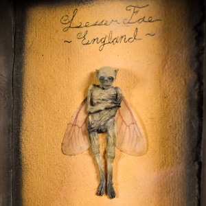 Mummified Fairy (lesser fae tiny mummified Fairy sculpture)