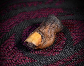 Mummified toe replica (Sourtoe)