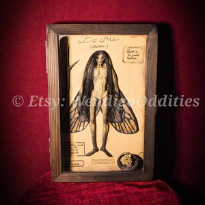 Mummified Fairy (Female) Delux