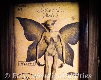Fée momifiée dans une boîte de présentation (homme) (sculpture faite à la main) (vue dans l&#39;huile de serpent de l&#39;émission FOX !)