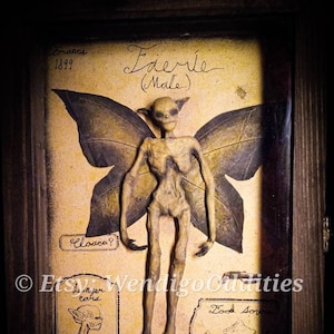 Mummified fairy in display box (Male) (hand made sculpture) (as seen on the FOX show Snake Oil!)