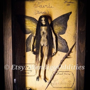 Mummified fairy (Female) (As seen on the Fox show Snake Oil!)