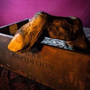 May include: A large, aged, and weathered wooden box with the words "HAW EXPIDITION" printed on the side. A large, brown, and textured object resembling a finger rests inside the box, with a light-colored nail.
