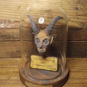 May include: A vintage display featuring a sculpted horned head with a grimacing expression, encased in a glass cloche. The base is wooden, with labels reading "COLLECTION OF SPECIMENS" and "England 1897". The overall aesthetic is antique and macabre.