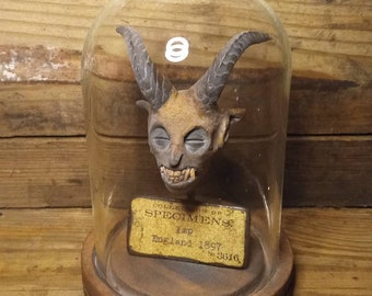 Op de afbeelding: Een vintage display onder een glazen stolp, met een gebeeldhouwde gehoornde kop met een grimmige uitdrukking. De houten basis heeft labels met de tekst "COLLECTION OF SPECIMENS" en "England 1897". Het stuk roept een gevoel van historische nieuwsgierigheid op.