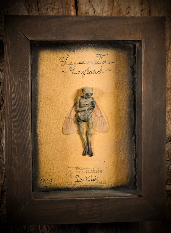ミイラ化した妖精の彫刻、珍品展示ボックス（9x7インチ） - Etsy 日本